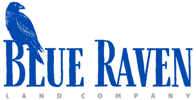 Blue Raven logo